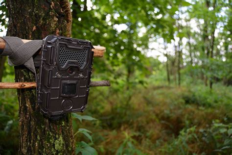 10 Trail Camera Tips Trail Camera Essentials For The Offseason Bone 10 Trail Camera Tips Trail Camera Essentials For The Offseason Bone