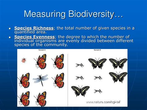 12 Evenness Metrics To Boost Biodiversity