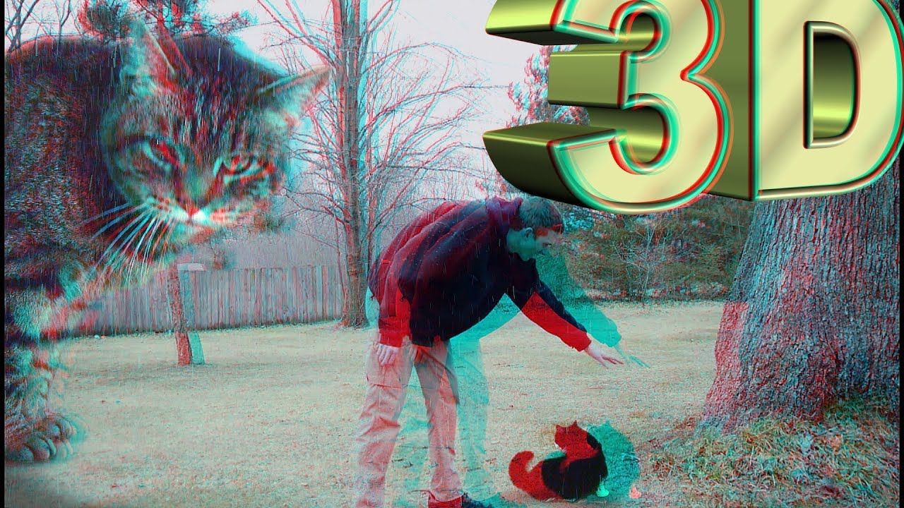 3D 3D
