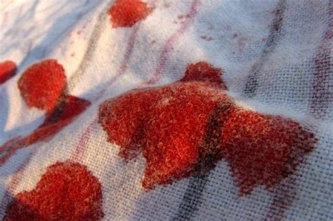 5 Technique To Get Period Blood Out Of Clothes Step By Step 5 Technique To Get Period Blood Out Of Clothes Step By Step