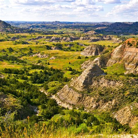 8 Reasons To Fall In Love With Theodore Roosevelt National Park 8 Reasons To Fall In Love With Theodore Roosevelt National Park