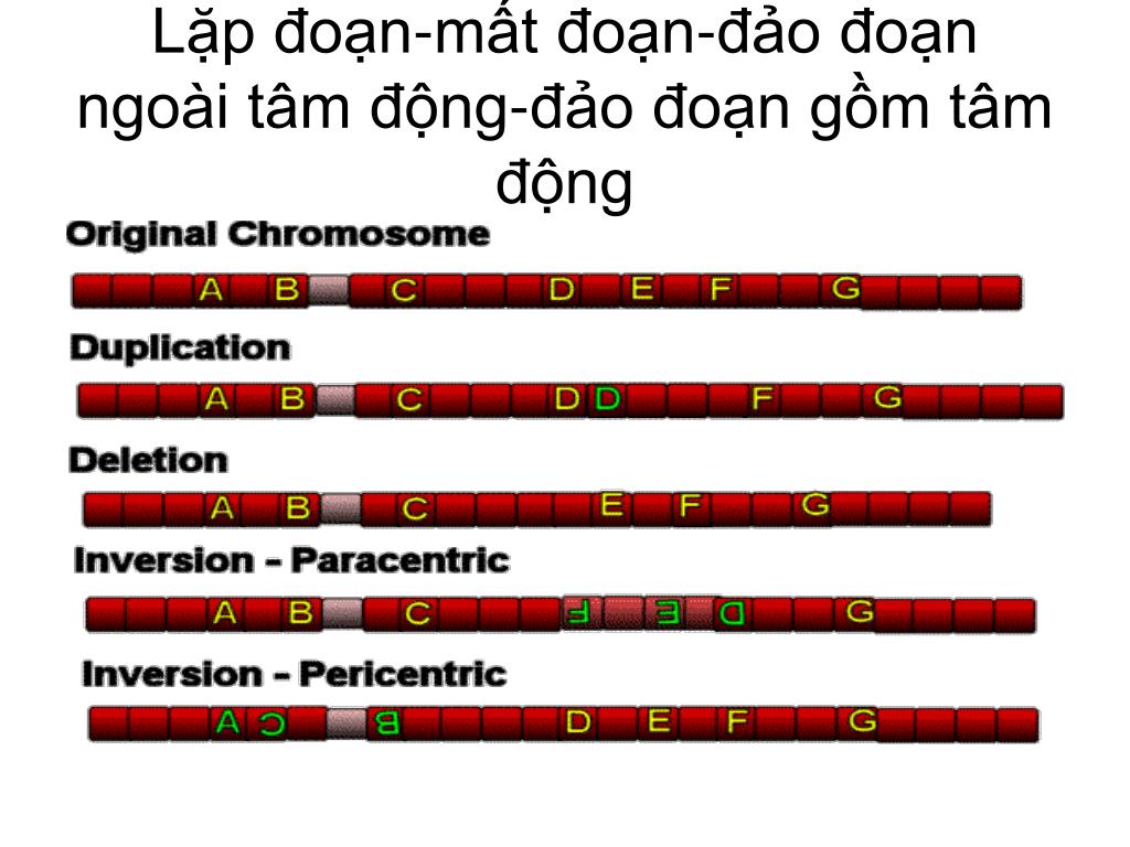 Attention Span L G V C U Tr C C M T Attention Span Trong C U Ti Ng Anh Attention Span L G V C U Tr C C M T Attention Span Trong C U Ti Ng Anh