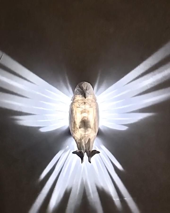 Bald Eagle Wall Light