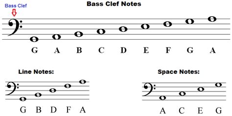 Base Clef Notes