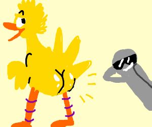 5 Big Bird Butt Facts