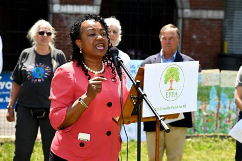 Brooklyn S Darlene Mealy Wins Democratic Primary For Nyc Council Brooklyn S Darlene Mealy Wins Democratic Primary For Nyc Council