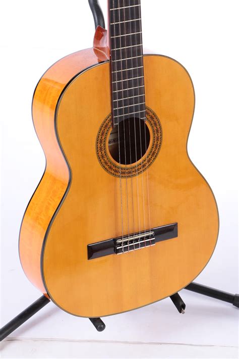 Classical Style Acoustic Guitar Basics