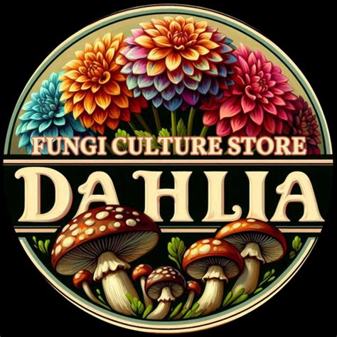 Dahlia Fungi Culture Store Dahlia Fungi Culture Store