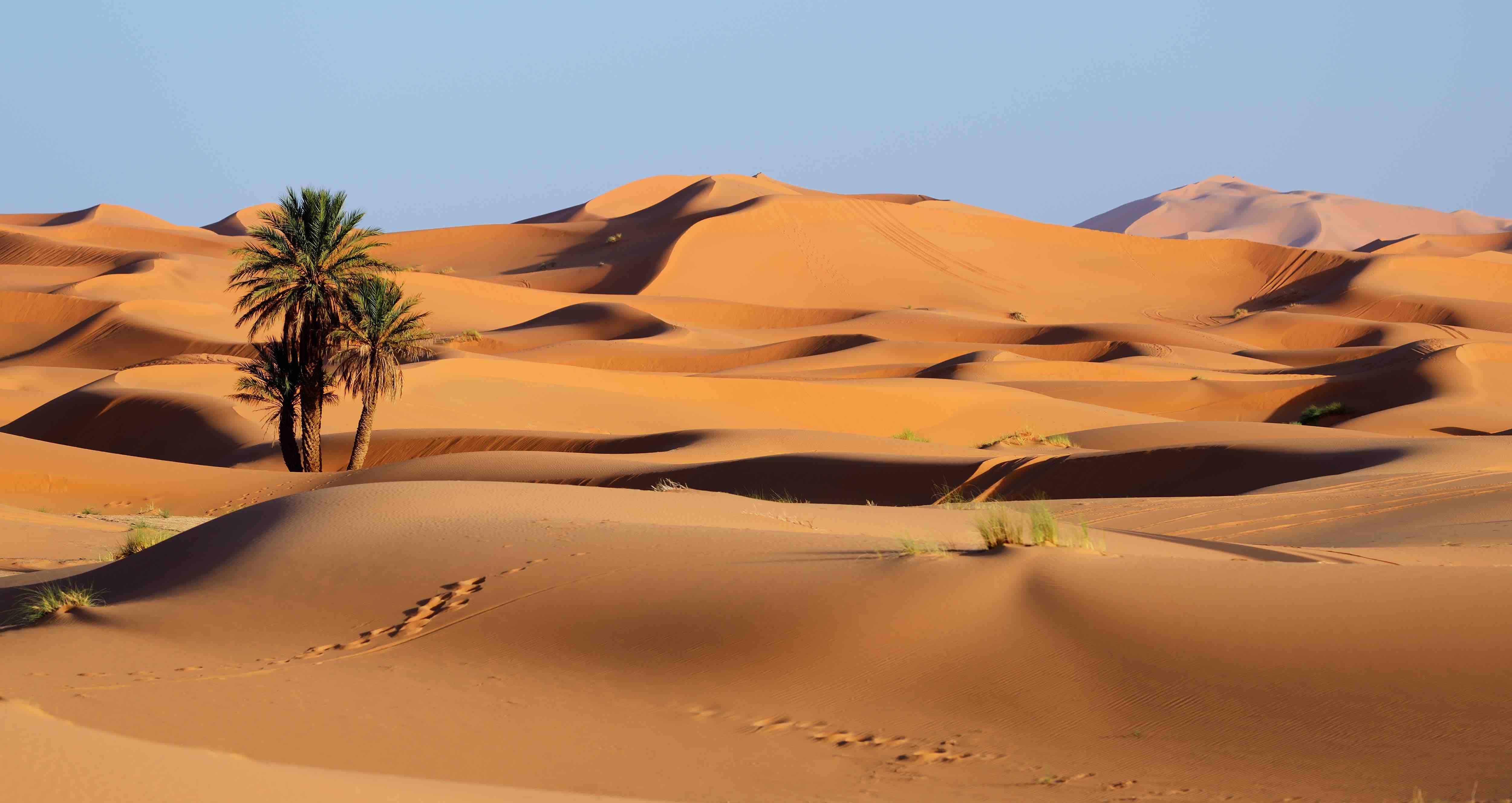 5 Desert Classic Tips