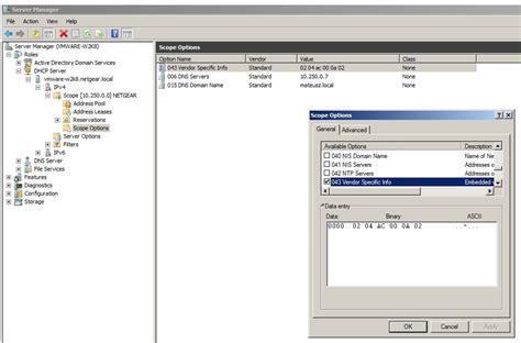 5 DHCP Option 43 Tips