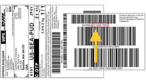 Dhl Rastreo Internacional