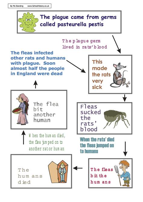 Diagram Of The Great Plague Worksheet Year 8 9 Pdf Diagram Of The Great Plague Worksheet Year 8 9 Pdf