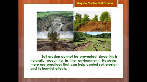 Forestry Management Solves Erosion Issues