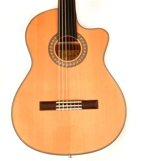 5 Tips Fretless Guitar