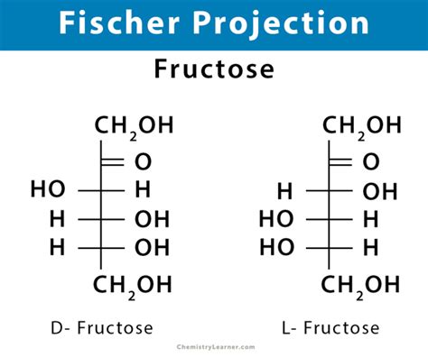 Fructose Fischer Projection