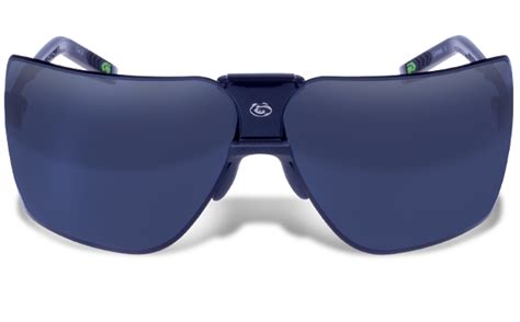 5 Gargoyle Sunglasses
