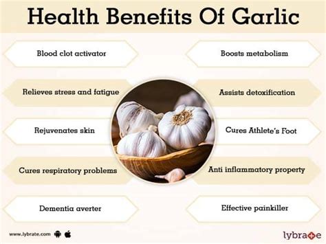 Garlic Herb Side Effects Uses And Health Benefits Garlic Herb Side Effects Uses And Health Benefits
