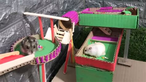Hamster Play Area Diy Hamster Play Area Diy