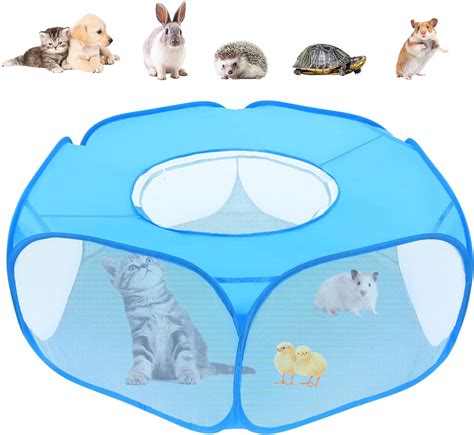 Hamster Play Area Outdoor Hamster Play Area Outdoor