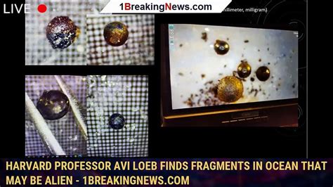 Harvard Professor Avi Loeb Finds Fragments In Ocean That May Be Alien Harvard Professor Avi Loeb Finds Fragments In Ocean That May Be Alien