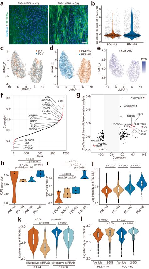 High Throughput Mechanical Phenotyping And Transcriptomics Of Single Cells Nature Communications High Throughput Mechanical Phenotyping And Transcriptomics Of Single Cells Nature Communications