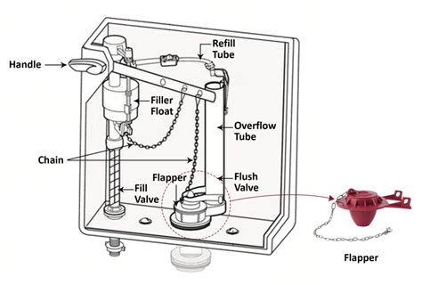 How Does A Toilet Flush Work Learn About Its Mechanisms