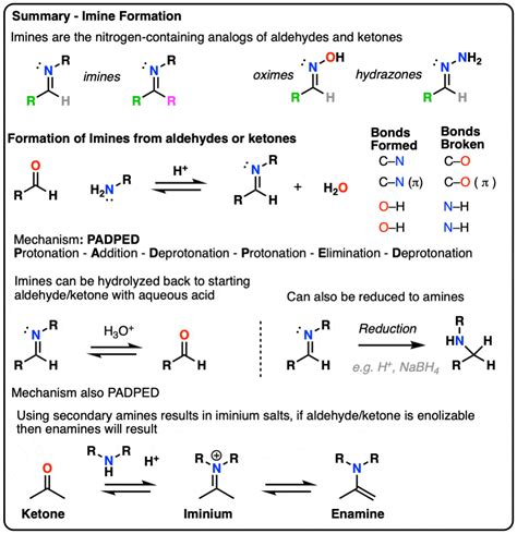Imines Properties Formation Reactions And Mechanisms Master Imines Properties Formation Reactions And Mechanisms Master