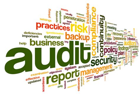 Information Technology Auditor Role