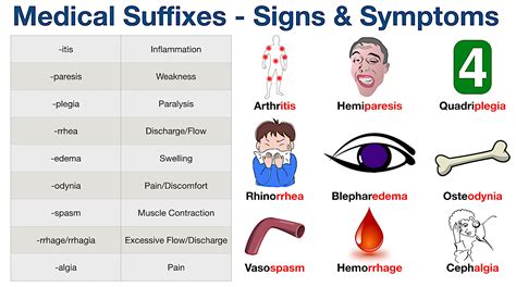 Ism Medical Term