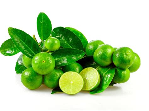 Key Lime Tree