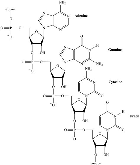 L Rna Family Ester Tesa Kov L Rna Organics Luxusn P Rodn Kosmetika L Rna Family Ester Tesa Kov L Rna Organics Luxusn P Rodn Kosmetika