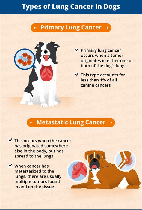 Lung Cancer In Dogs Great Pet Care Lung Cancer In Dogs Great Pet Care