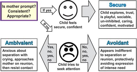 Mary Ainsworth Attachment Theory