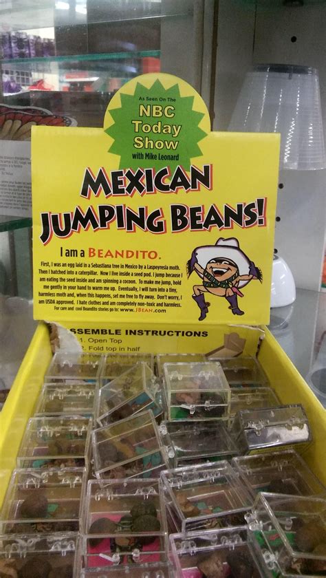 Mexican Jumping Beans