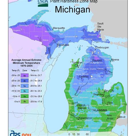 Michigan Hardiness Zone