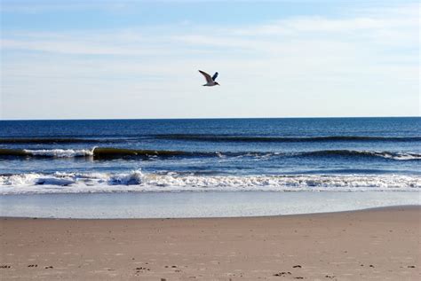 Naked And Unafraid New Jersey S Official And Unofficial Nude Beaches Naked And Unafraid New Jersey S Official And Unofficial Nude Beaches