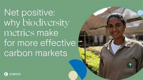 Net Positive Why Biodiversity Metrics Make For More Effective Carbon Net Positive Why Biodiversity Metrics Make For More Effective Carbon