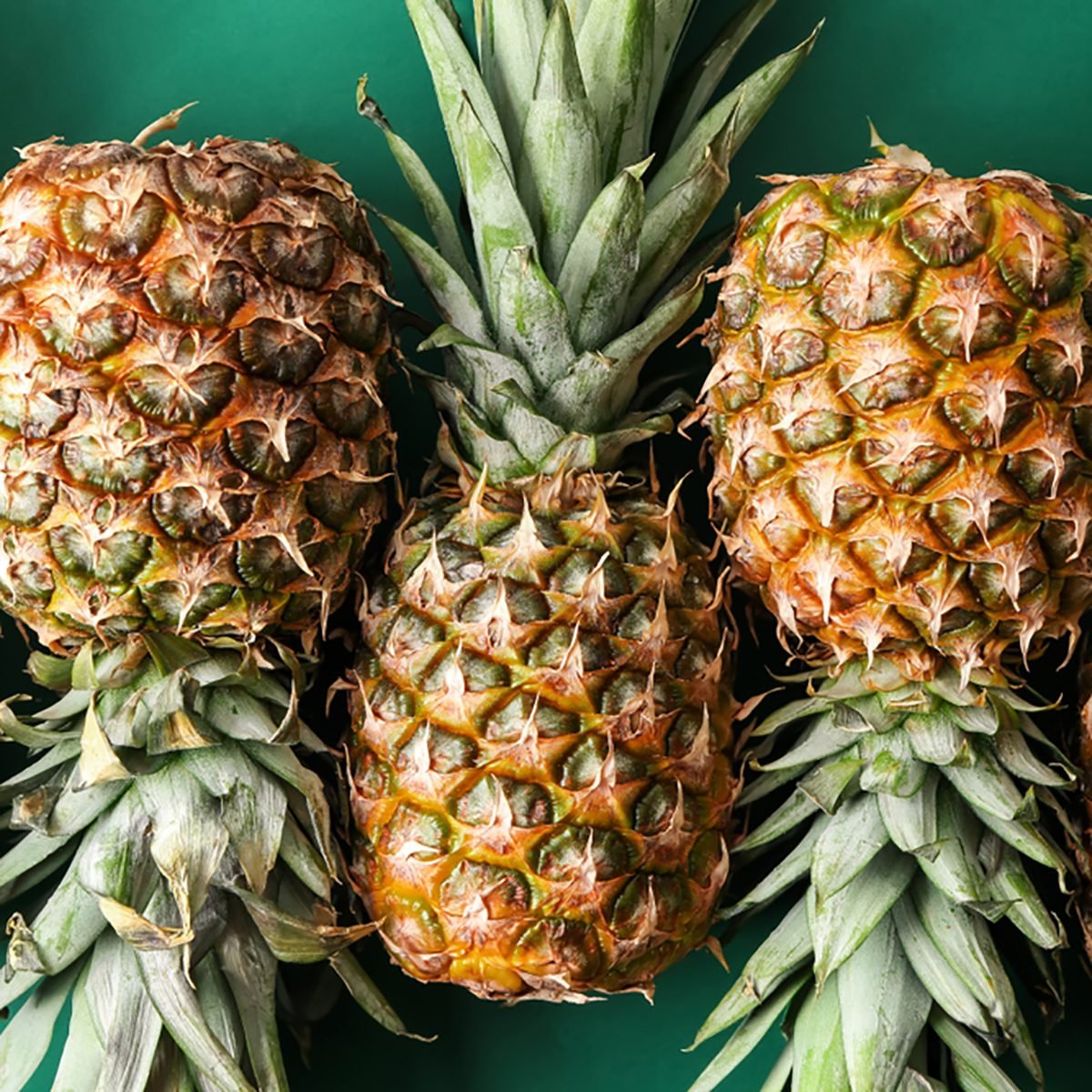 Pineapple Brat Onlyfans