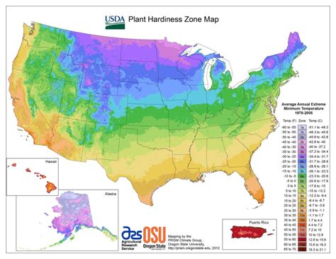 Planting Growing Zones In The Usa 2019 Guide Howzoo Planting Growing Zones In The Usa 2019 Guide Howzoo