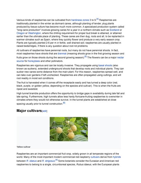 Raspberries And How To Cultivate Them Blg 400 Toronto Met Studocu Raspberries And How To Cultivate Them Blg 400 Toronto Met Studocu