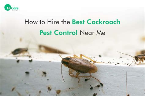 Roach Pest Control Near Me