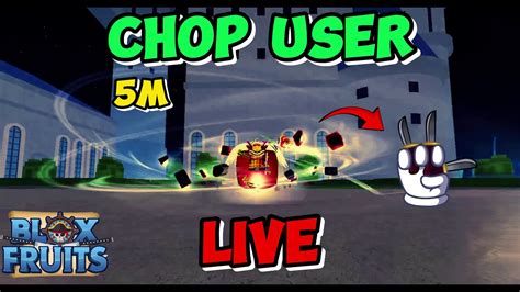 Roblox Live Support Help