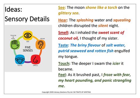 Sensory Details In Writing Sensory Details In Writing