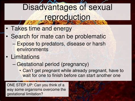 Sexual Reproduction Disadvantages