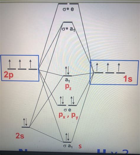 Solved On The Mo Diagram Below Indicate The Chegg Com Solved On The Mo Diagram Below Indicate The Chegg Com