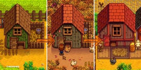 5 Big Coop Tips