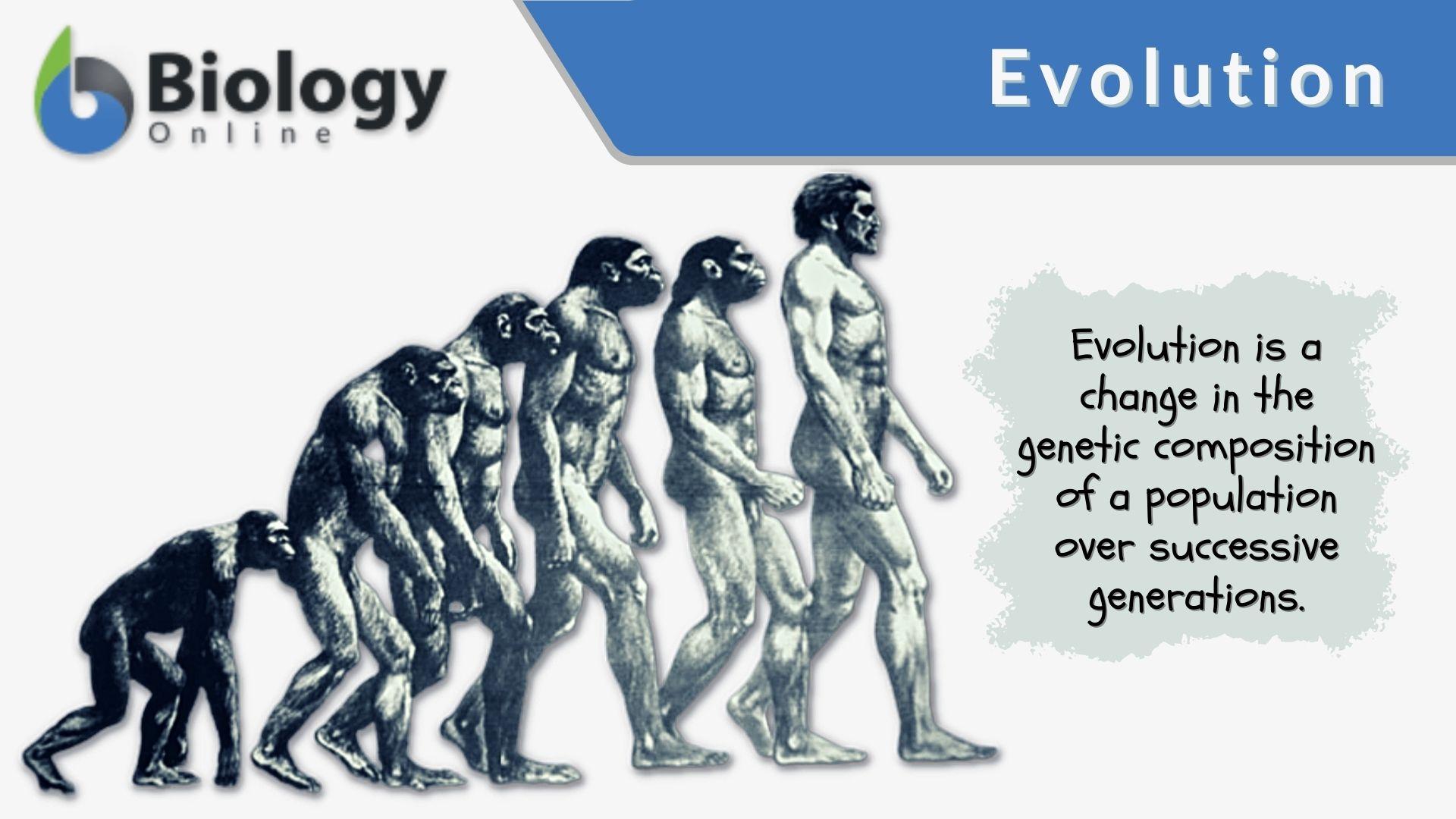 The Evolution Of The Coupon Barcode Bar Code Graphics The Evolution Of The Coupon Barcode Bar Code Graphics