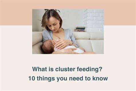 The Pros And Cons Of Cluster Feeding Cluster Feeding Breastfeeding The Pros And Cons Of Cluster Feeding Cluster Feeding Breastfeeding
