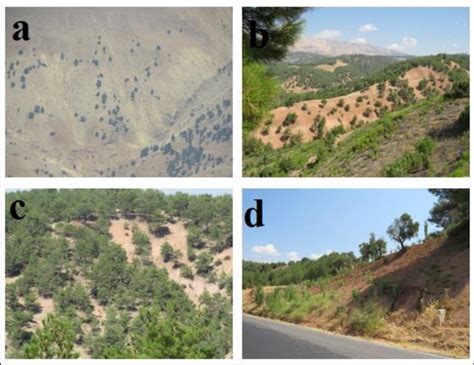 The Soil Erosion Problems In The Study Area A A View From The The Soil Erosion Problems In The Study Area A A View From The