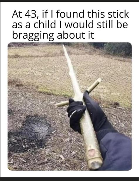 They Did It The Perfect Stick Know Your Meme They Did It The Perfect Stick Know Your Meme